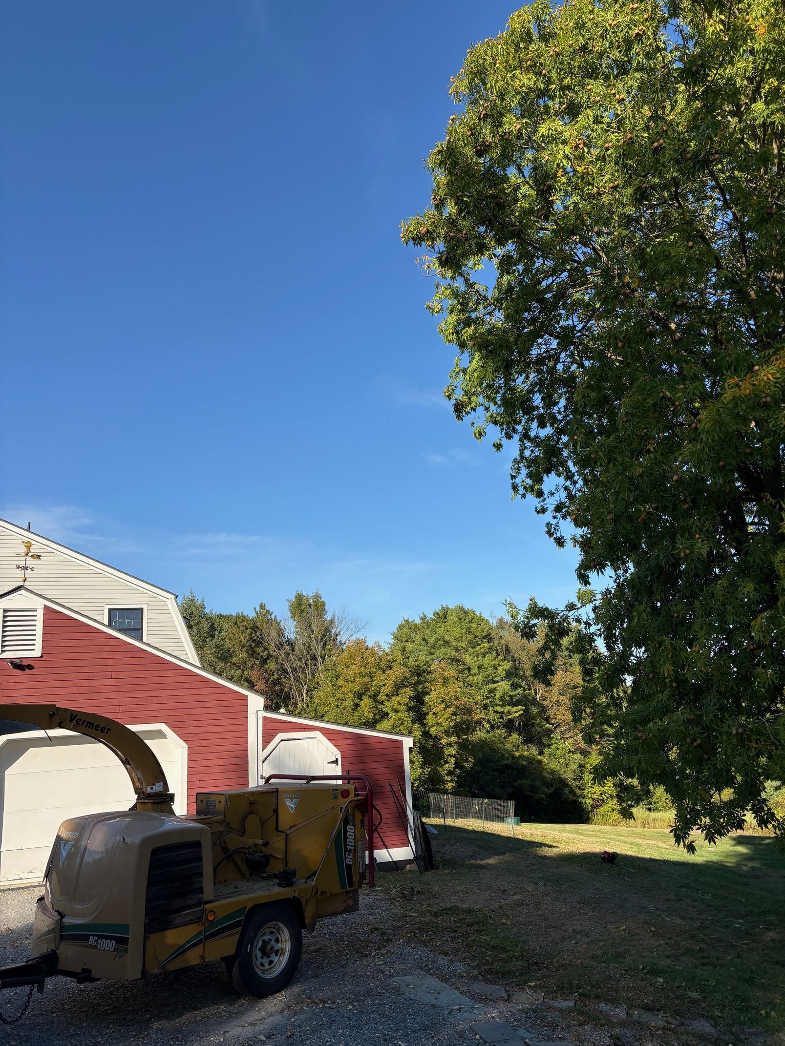 Barn with red roof and wood chipper under a bright blue sky, tall tree on the right.