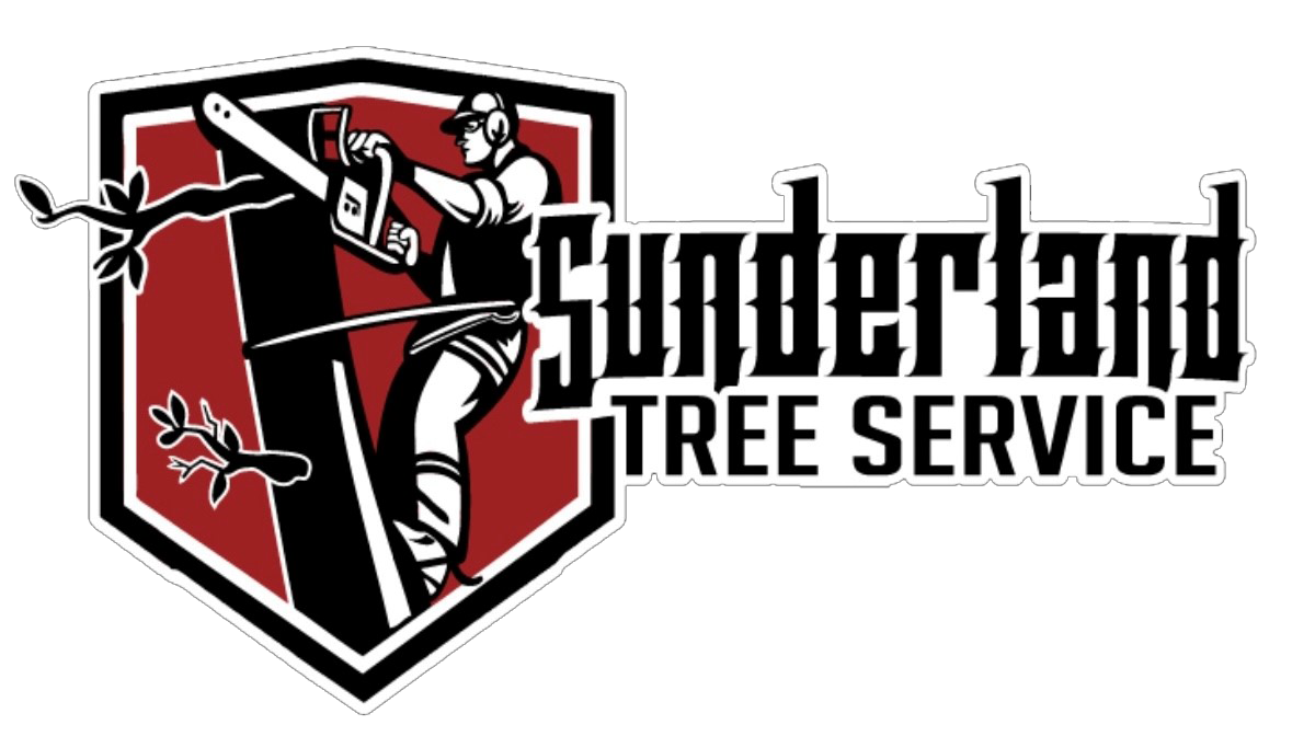 Sunderland Tree Service LLC