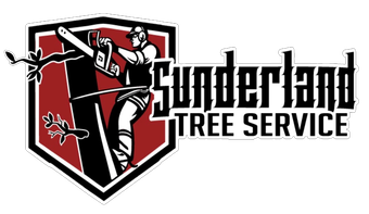 Sunderland Tree Service LLC