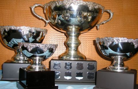 Bronze and silver cup trophies