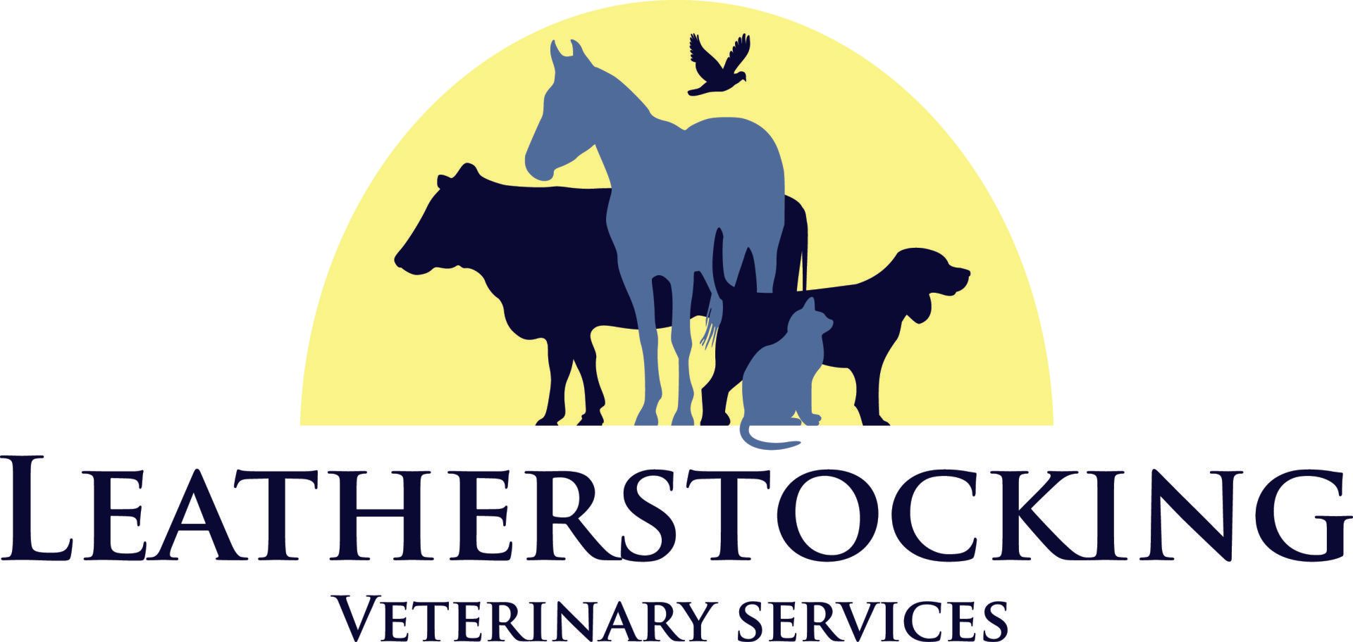 Leatherstocking equine yearlings