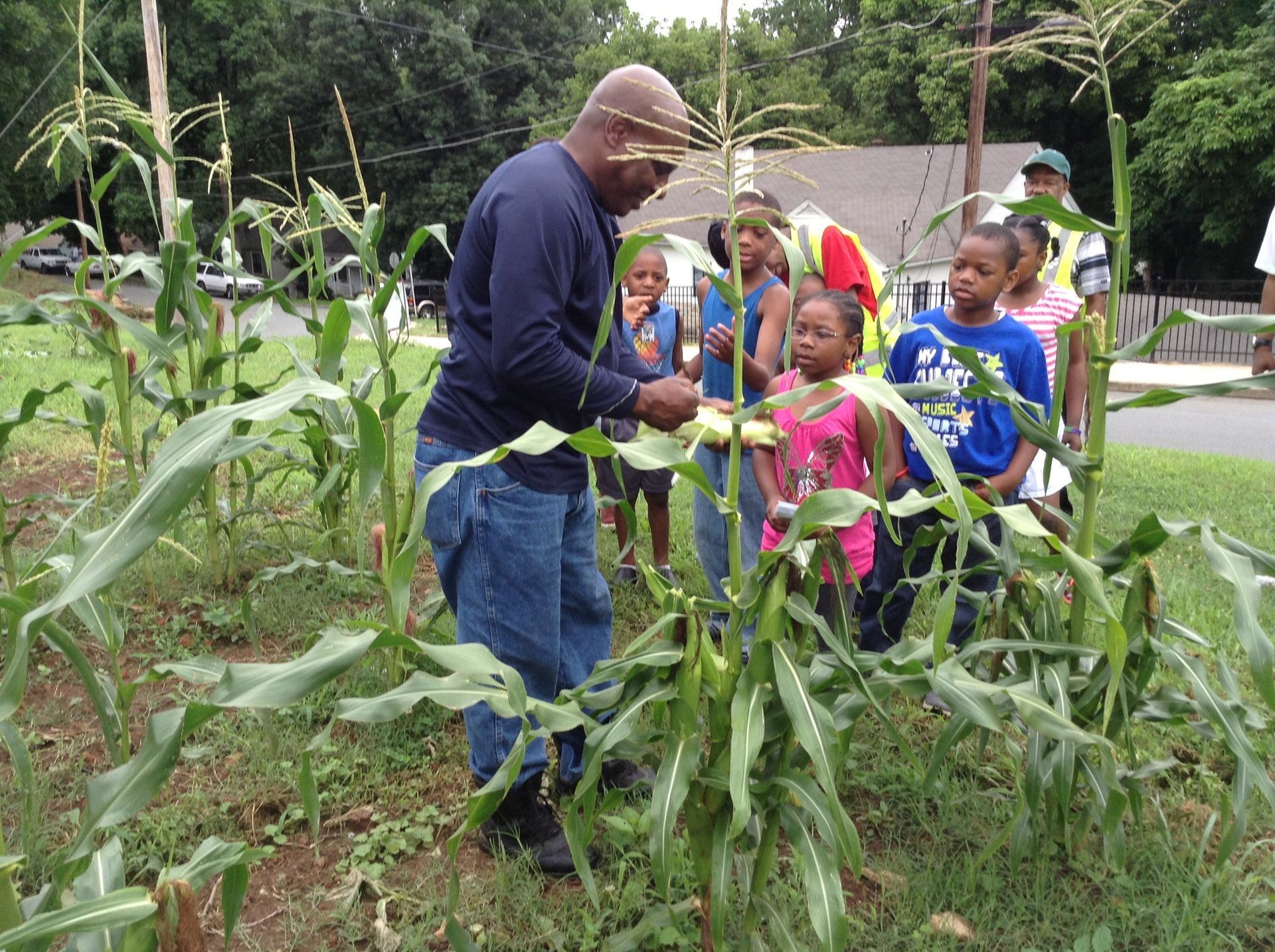 An adult stands in a community garden, demonstrating how to harvest corn to a group of children.