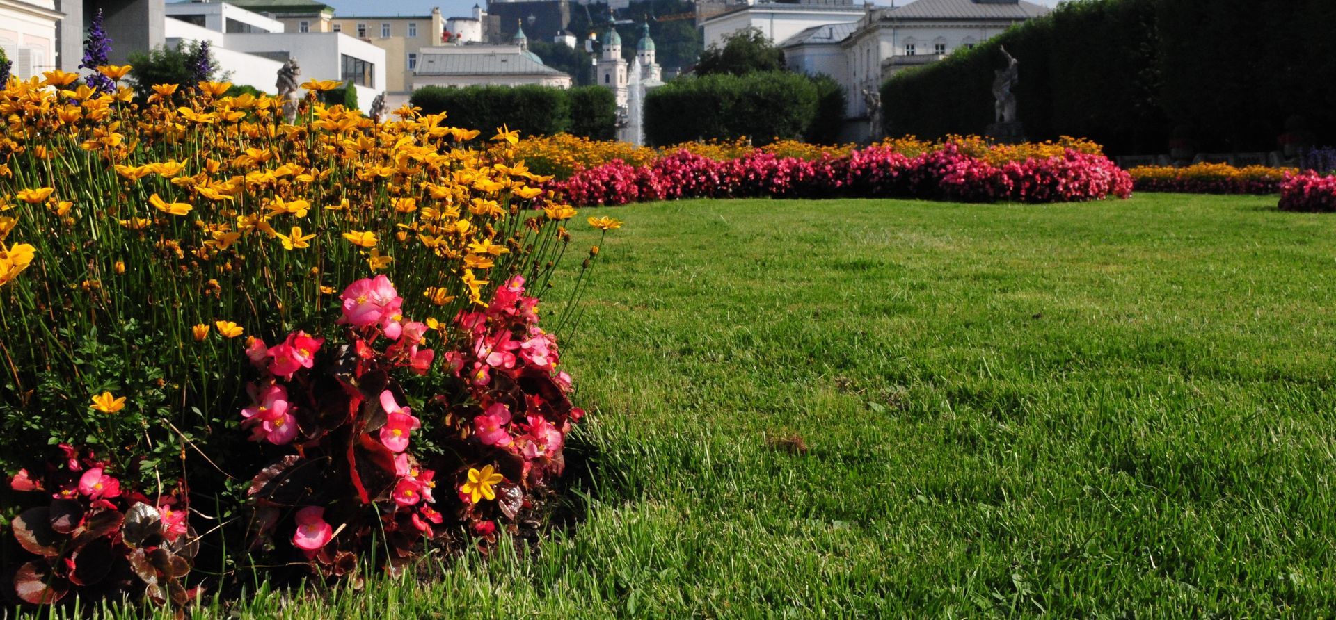 Vibrant red and yellow flowers blooming in a lush green grassy field, creating a colorful and picturesque scene.