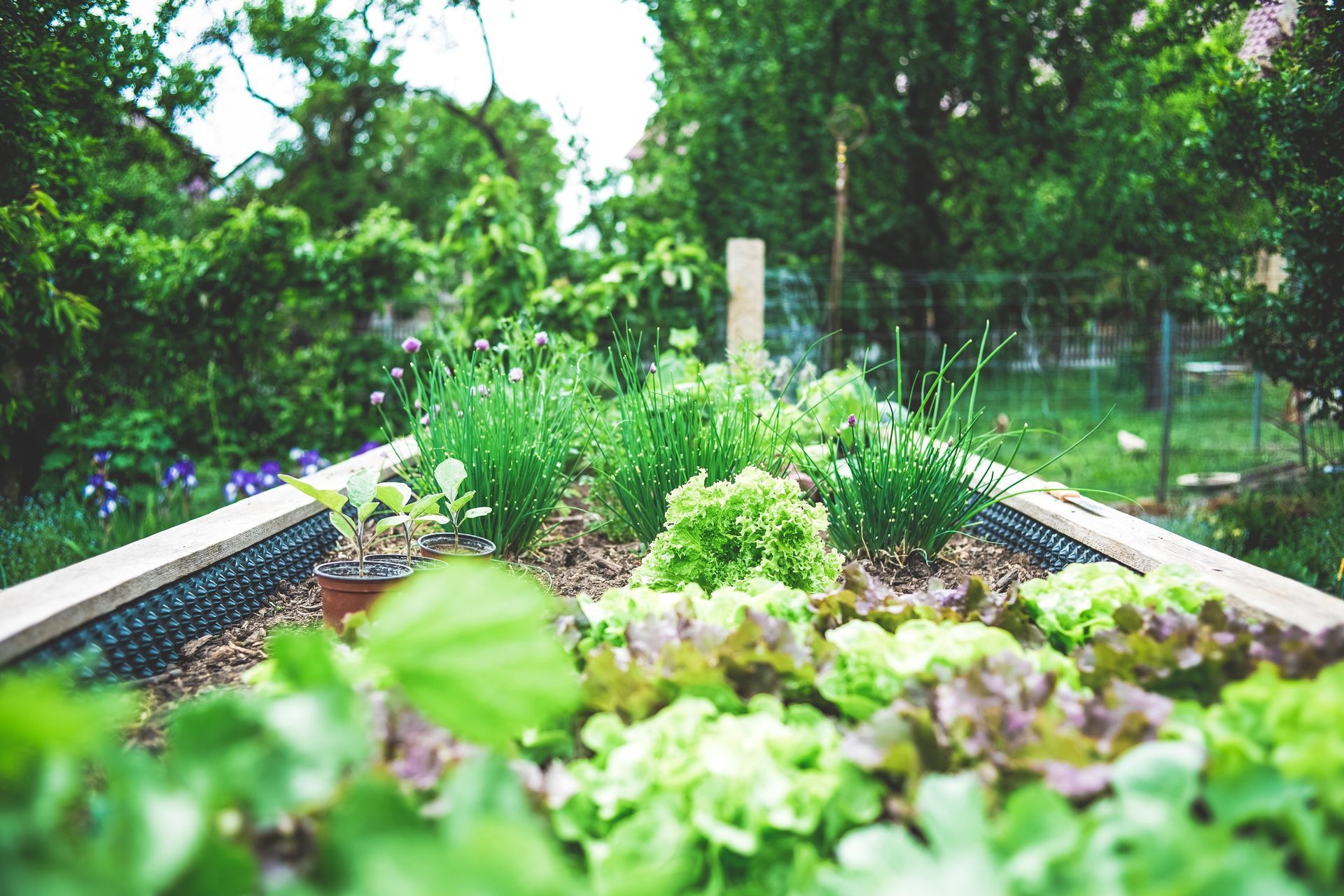 Vibrant green plants flourishing alongside sleek black metal train rails, bathed in the warm light of a sunny daytime.