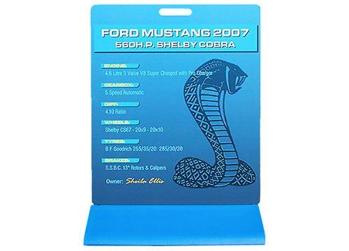 Executive footpath stand