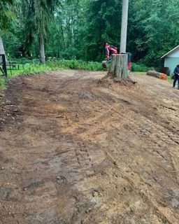 A large tree stump sits in the center of a muddy clearing with tire tracks, surrounded by trees and a nearby building.