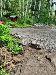 A gravel path leading toward a small, red wooden cabin nestled in a forest of tall birch and pine trees.