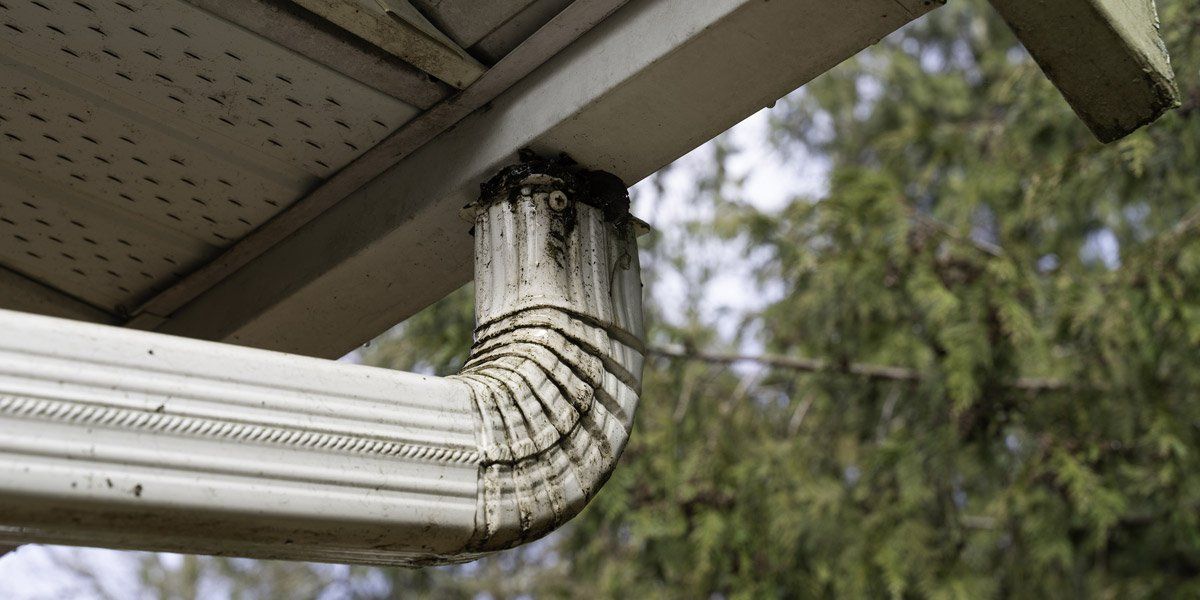 Trust the experts to clean your gutters Gutter Cleaning Savannah, GA