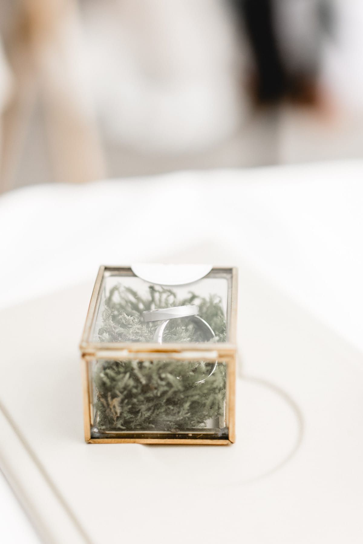 Auf einem Tisch steht eine Ringschachtel mit zwei Ringen darin.