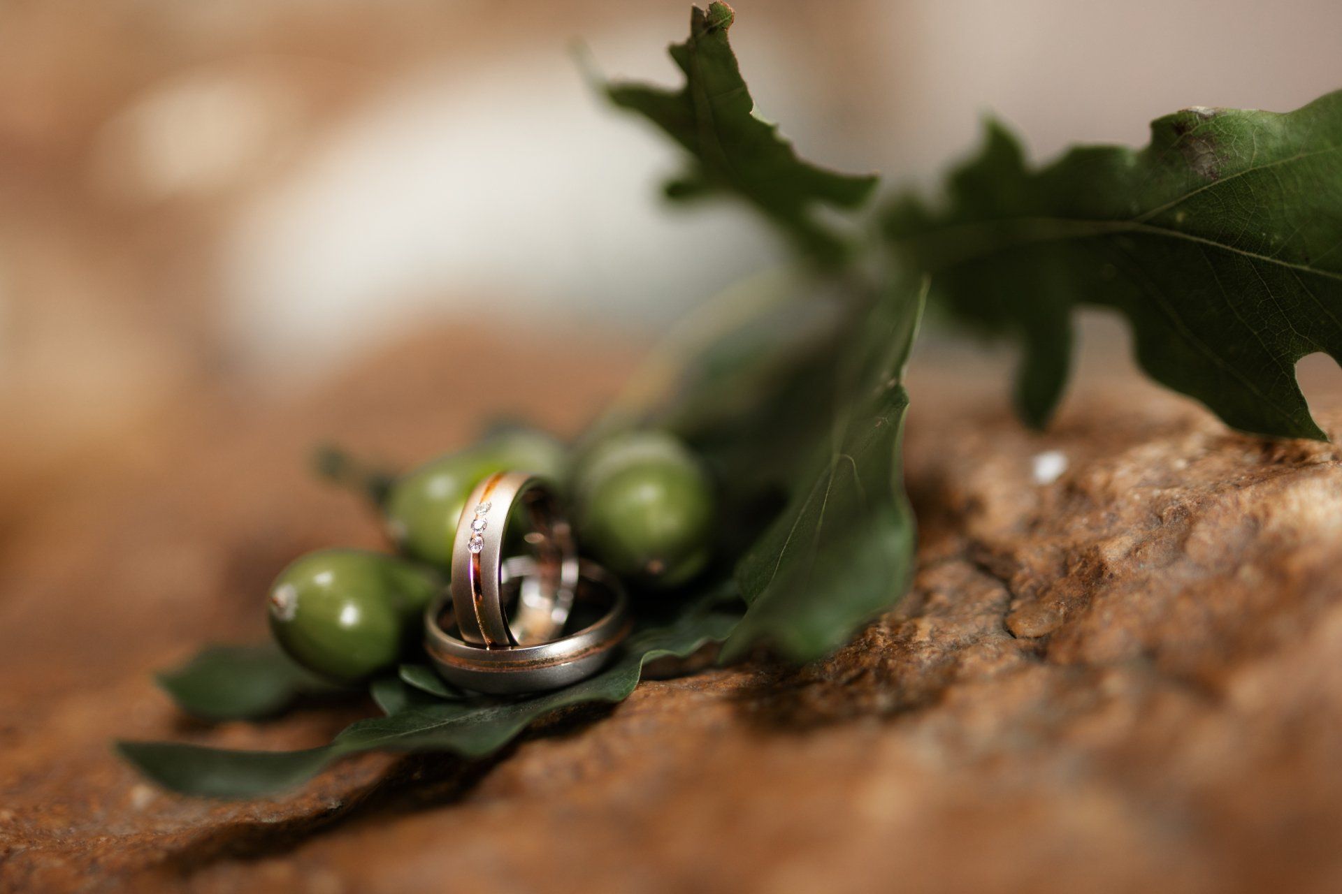 Ein Paar Eheringe, die auf einem Blatt liegen.