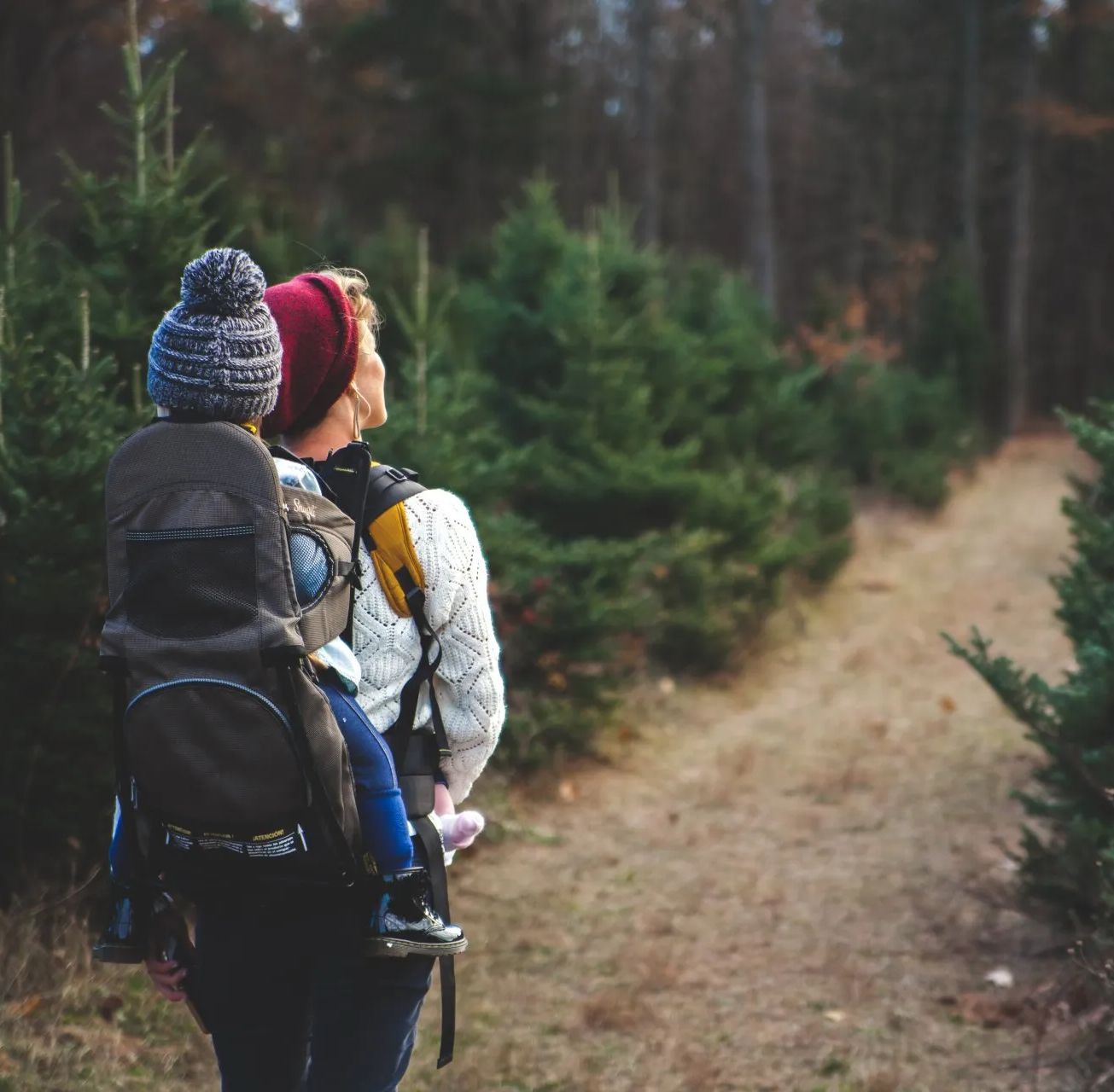 therapy is like being a hiking guide. the image is of a mom with a kid on a trail.