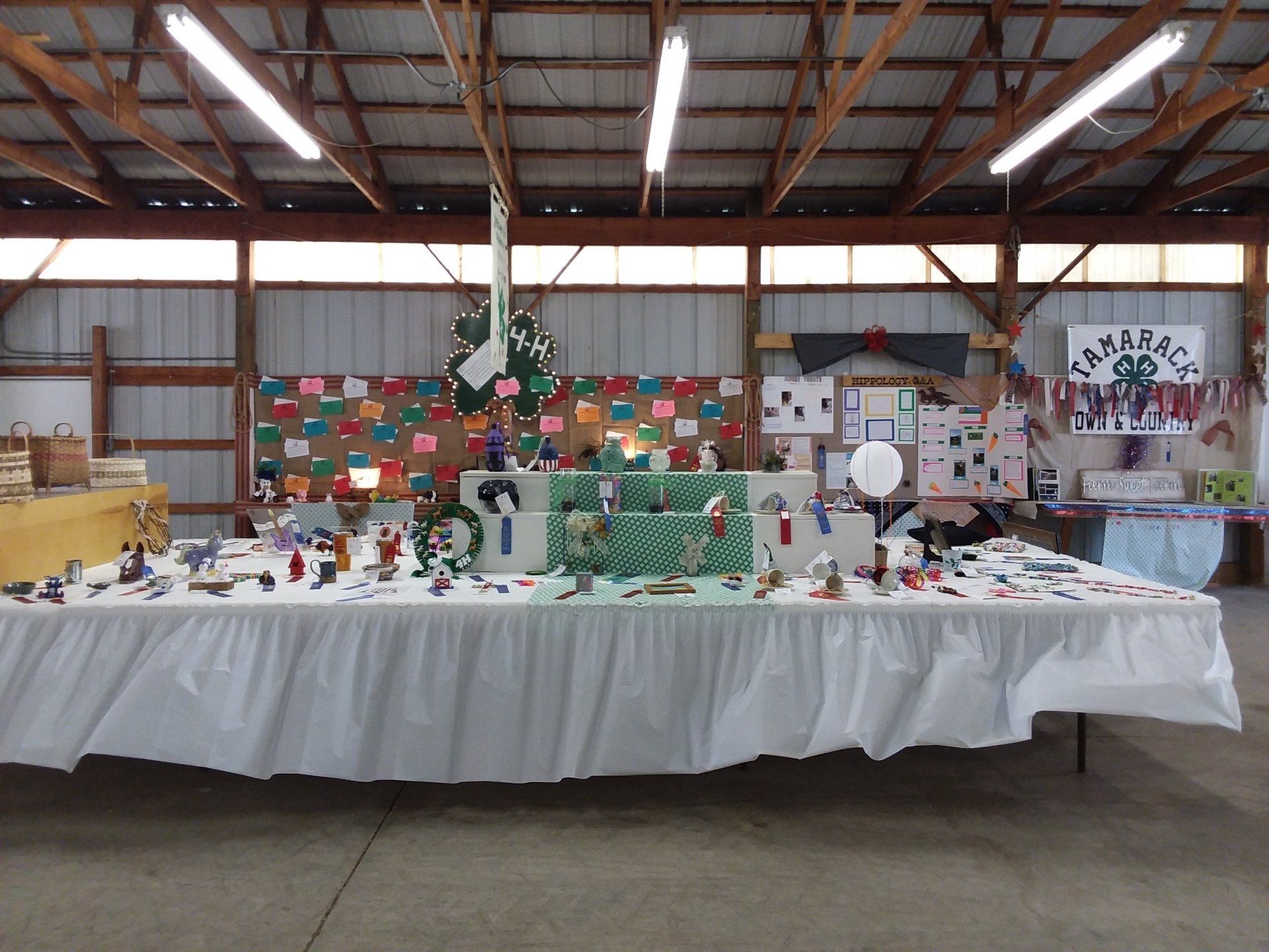 Mecosta County Free Fair 42