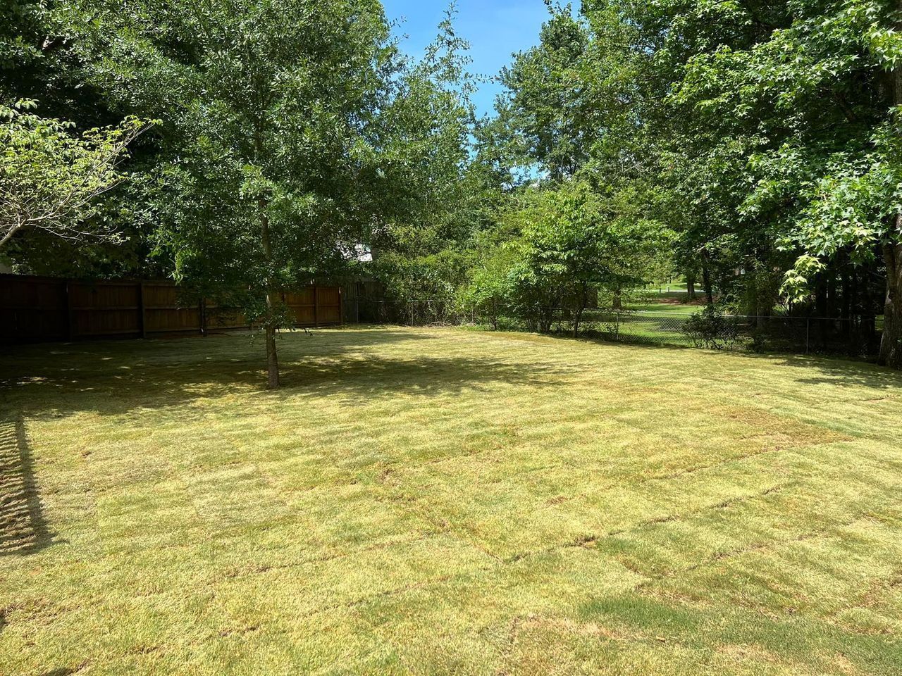 A large lush green lawn with trees in the background.