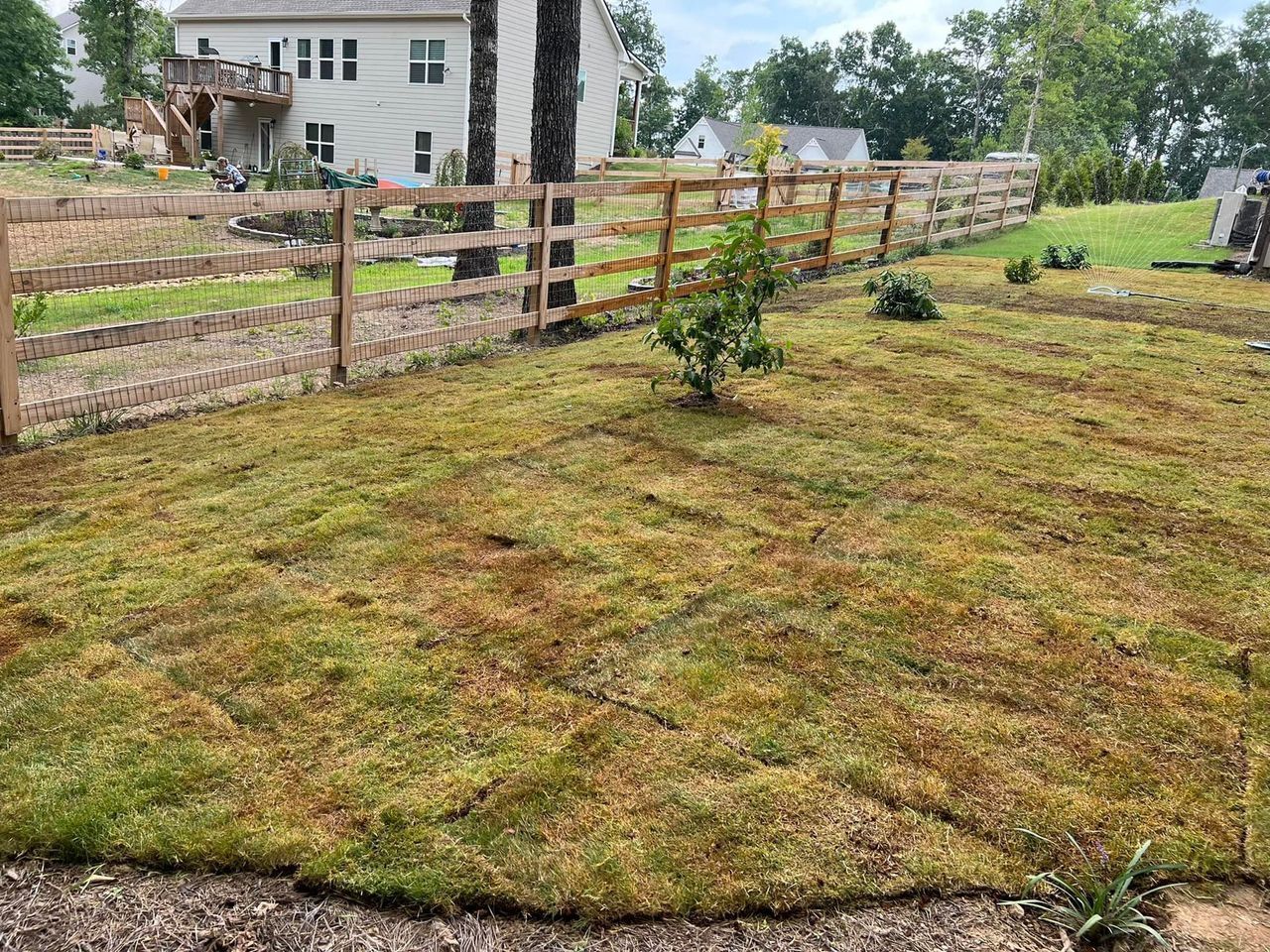 A backyard with a wooden fence and a lot of grass.