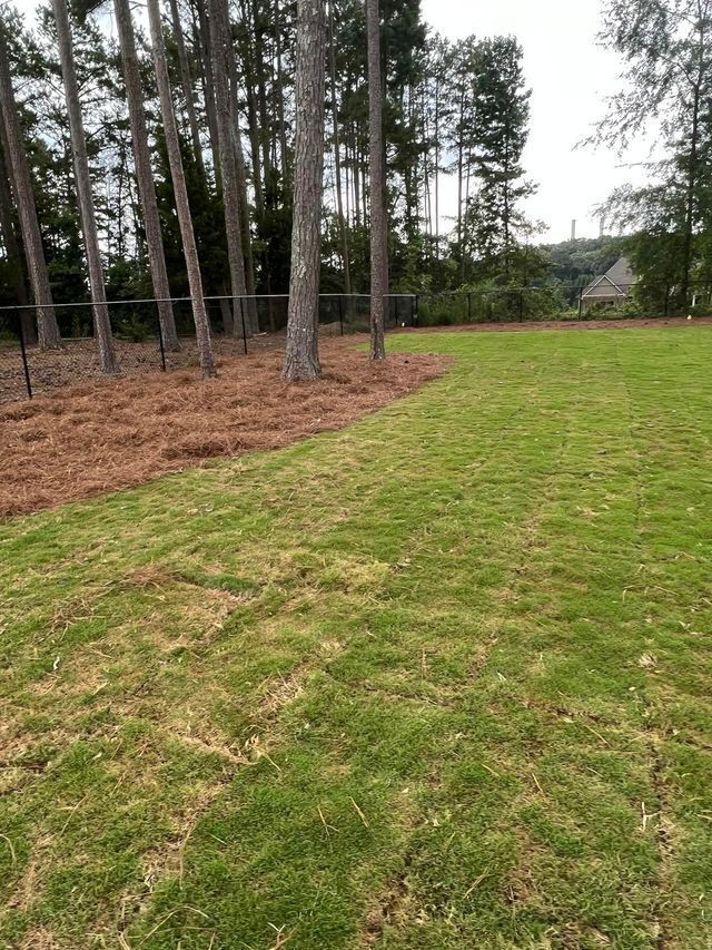 A large lush green field with trees in the background.