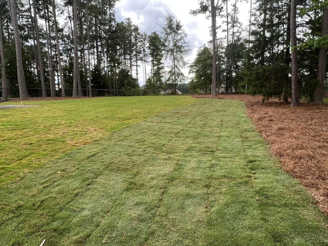 A lush green field of grass with trees in the background.