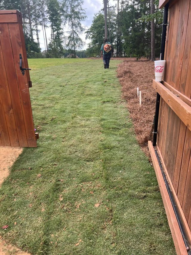 A person is walking through a grassy field next to a wooden fence.