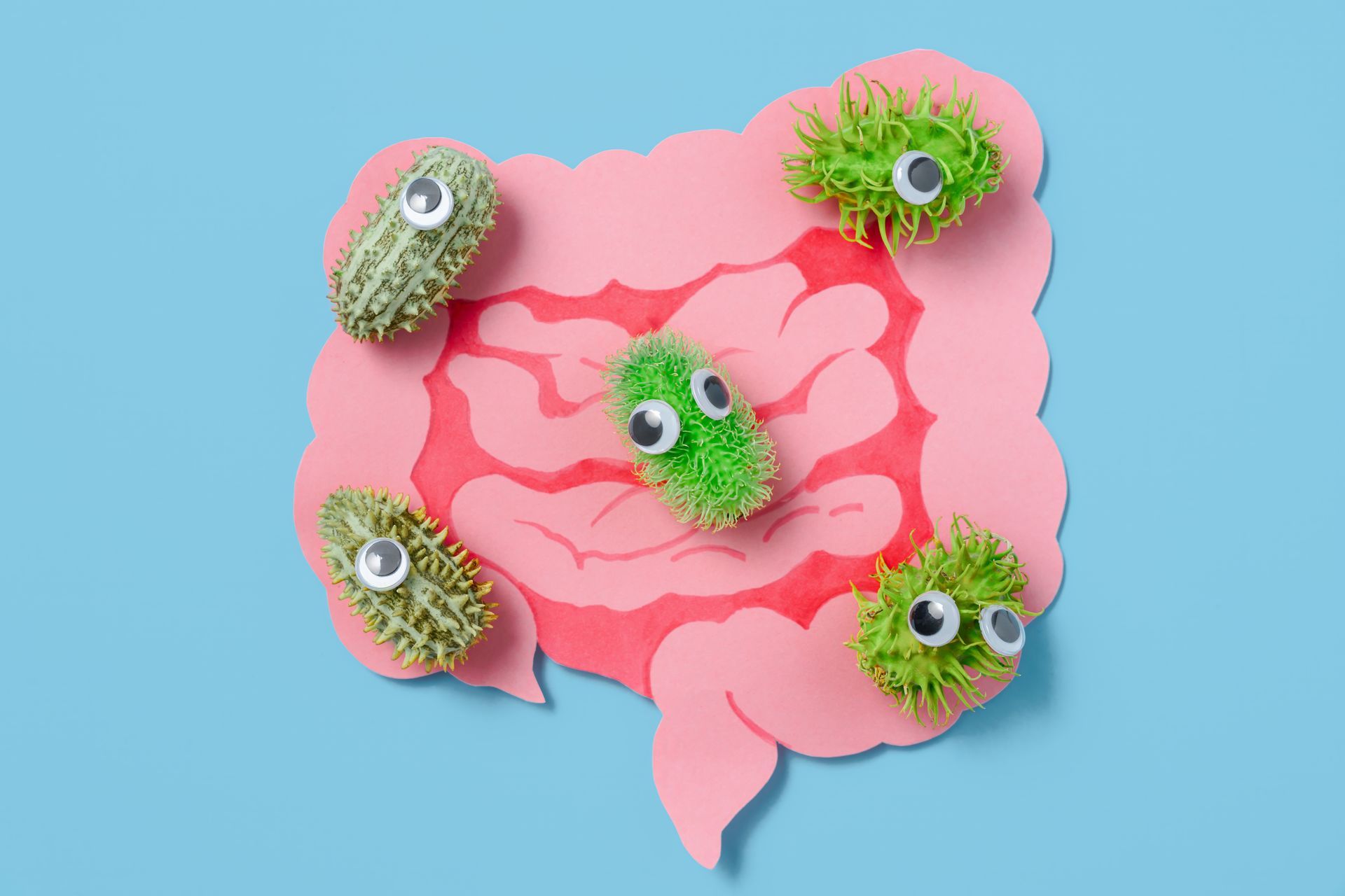 A paper cutout of a human intestine on a light blue background, decorated with green, fuzzy, googly-eyed microbes.