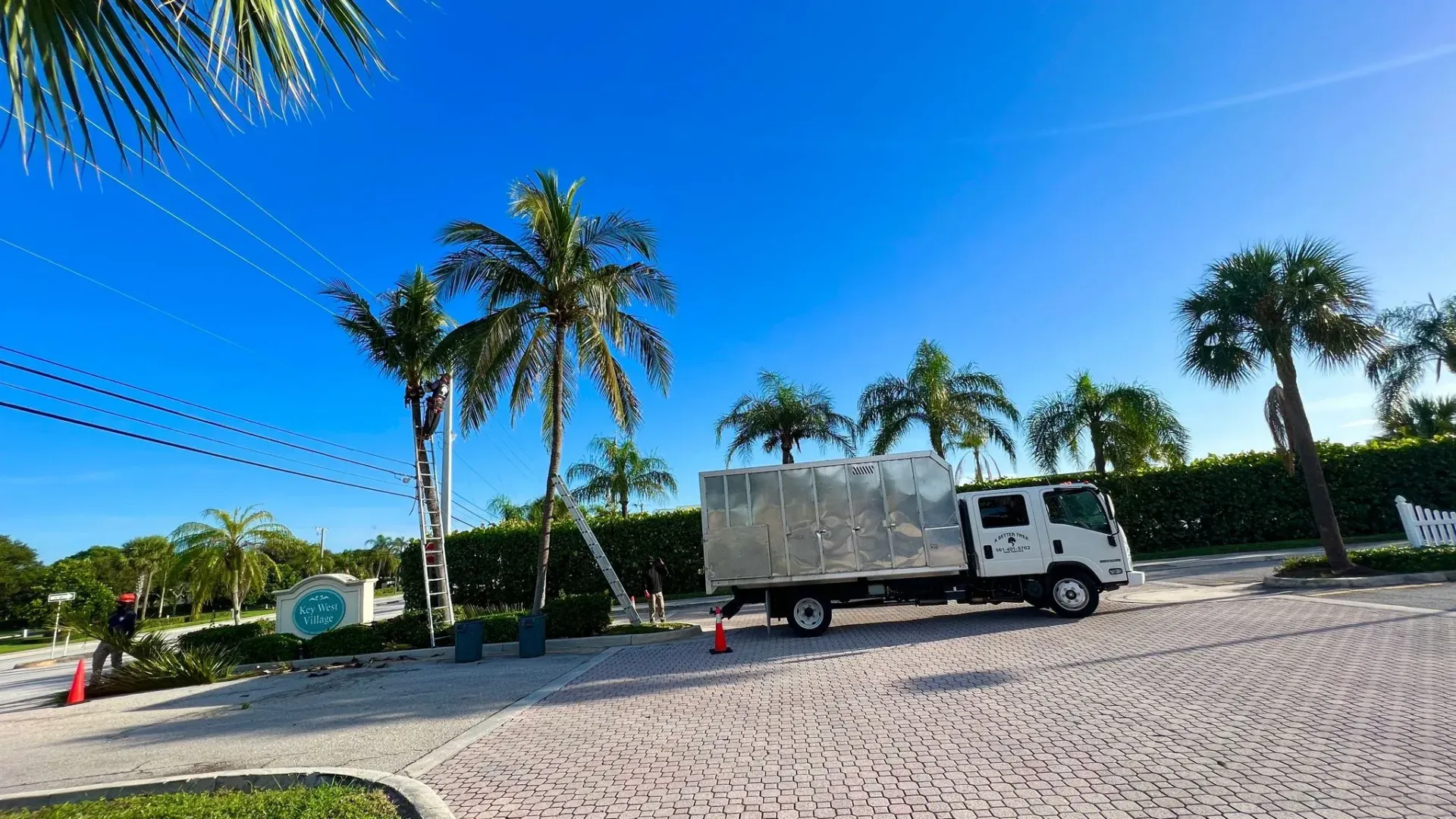 Tree Service Company In Tequesta, FL