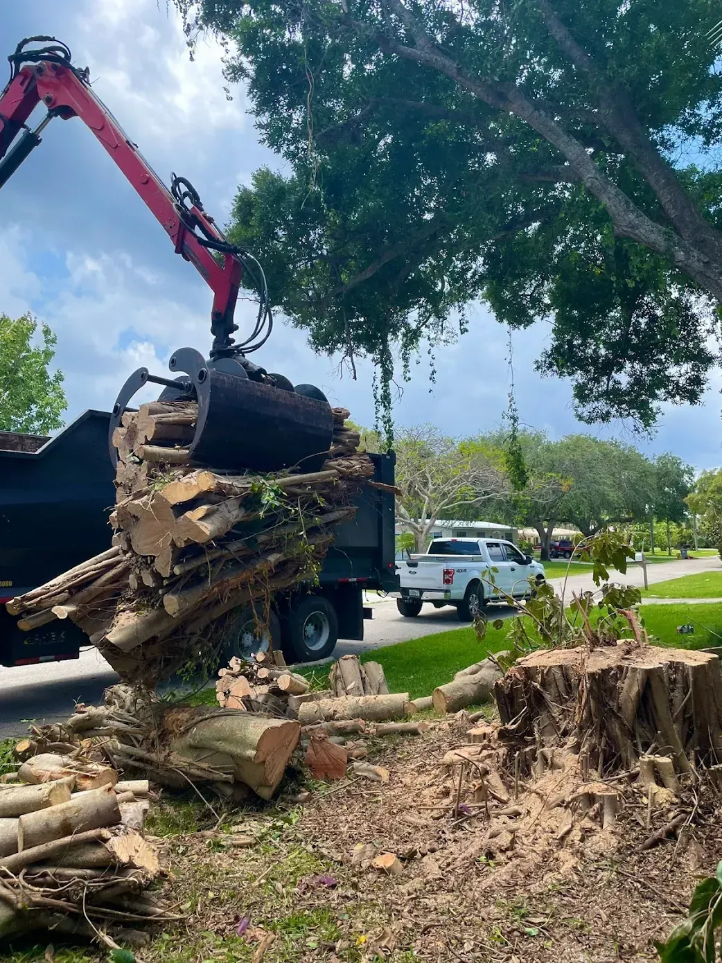 Professional Stump Grinding Service