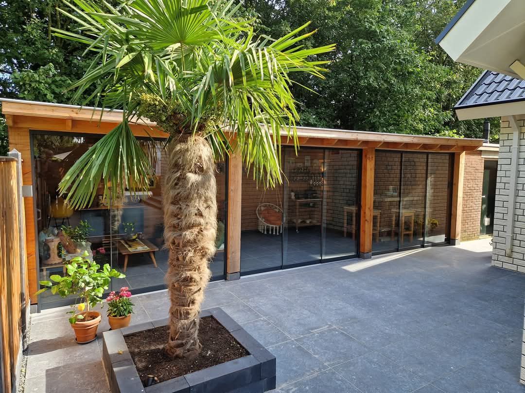 Voor een gebouw met glazen schuifdeuren staat een palmboom.