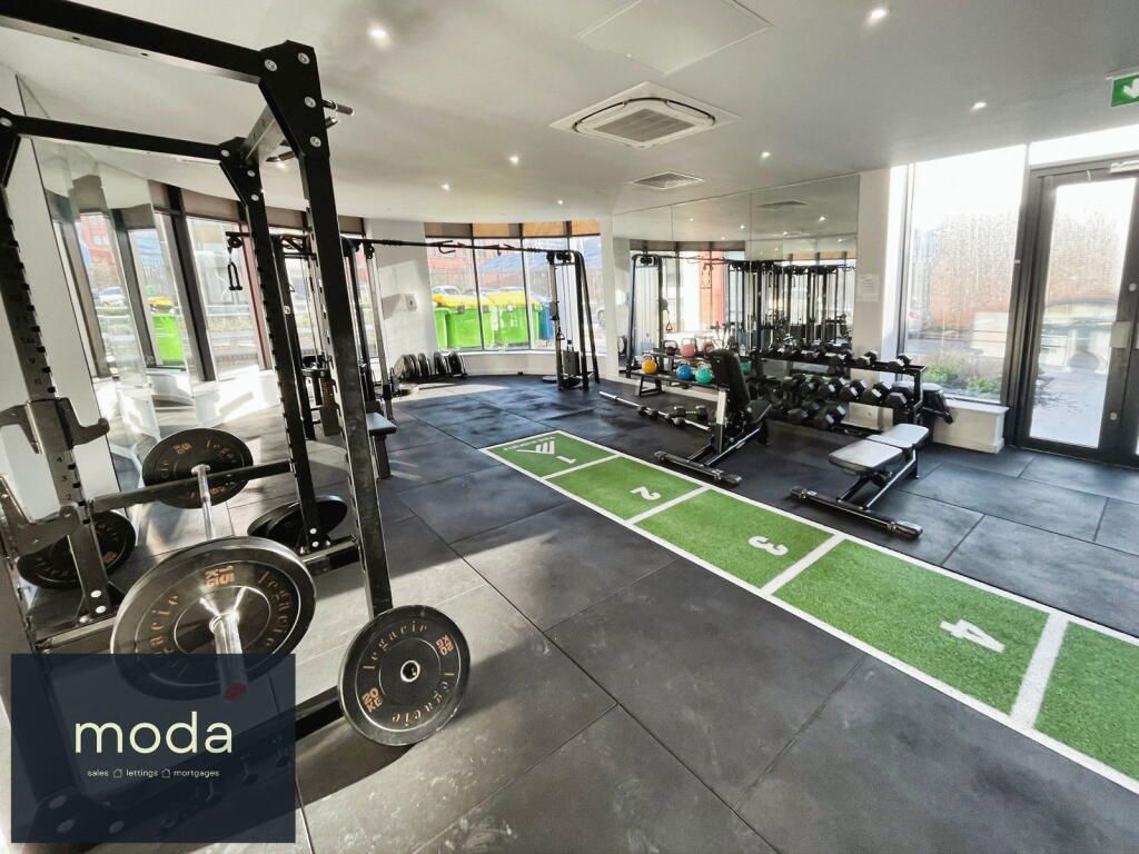 Gym interior with weights, squat rack, turf, and windows. 