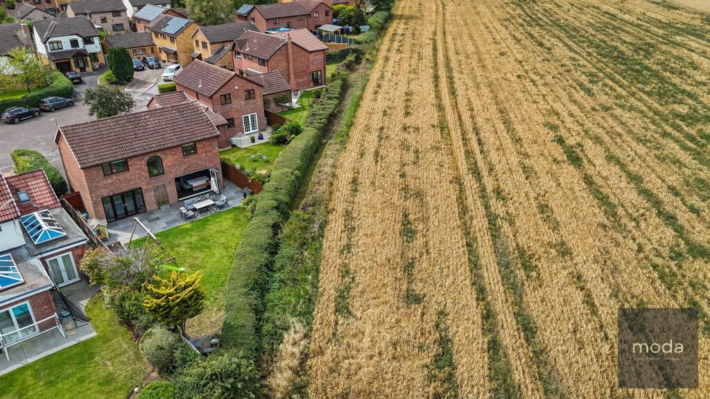 Aerial view of houses next to a wheat field.