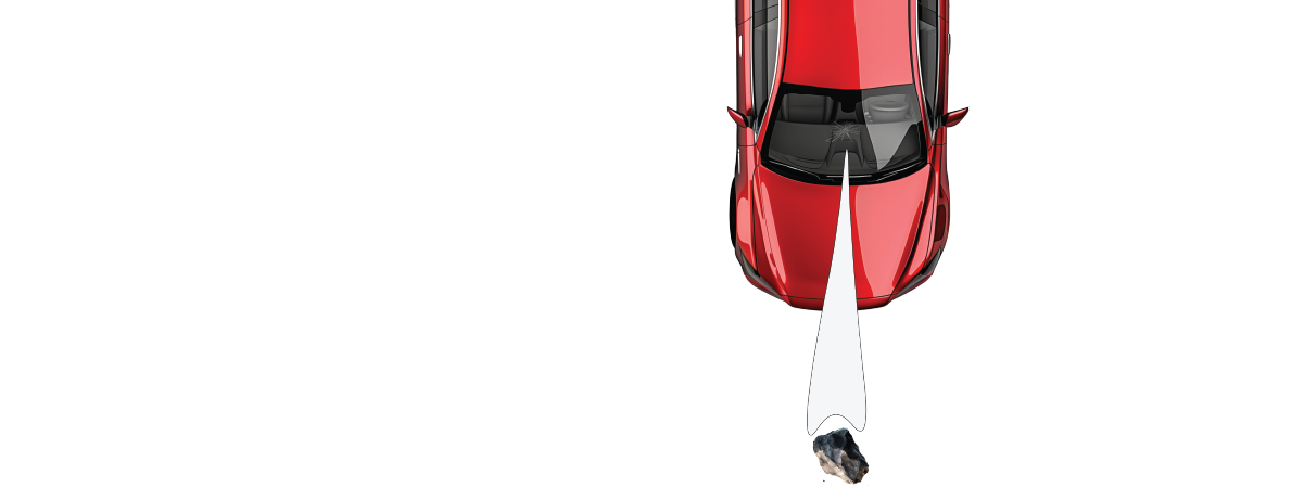 Windshield Skin