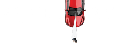 Windshield Skin