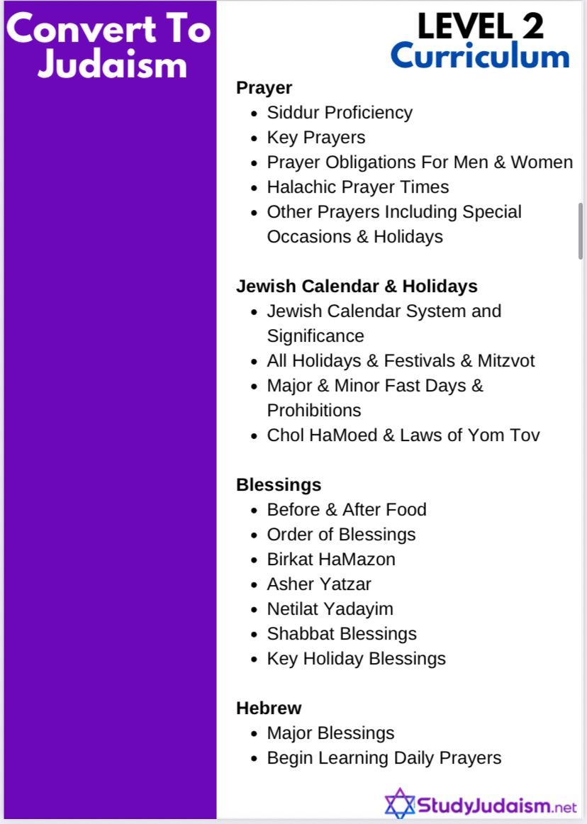 Purple graphic listing topics for Level 2 Judaism curriculum, including prayer, calendar, holidays, blessings, and Hebrew.