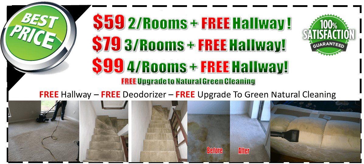 professional steam carpet cleaners, steam carpet cleaning