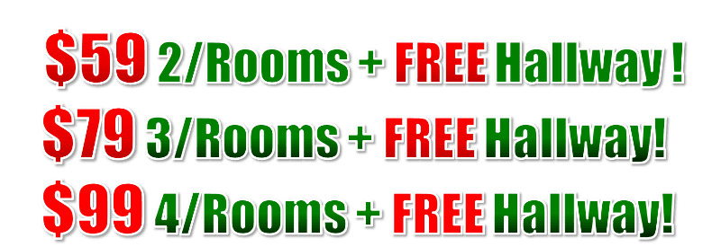 carpet cleaning specials, steam carpet cleaning, professional carpet cleaners