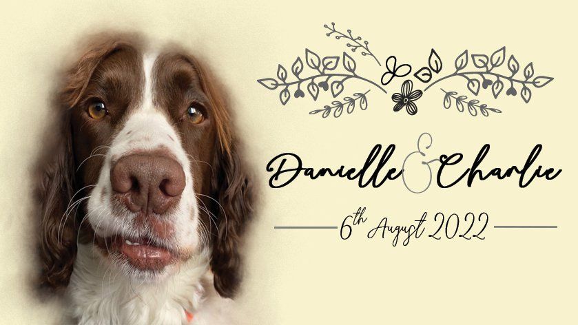 a cartoon design of the happy couple