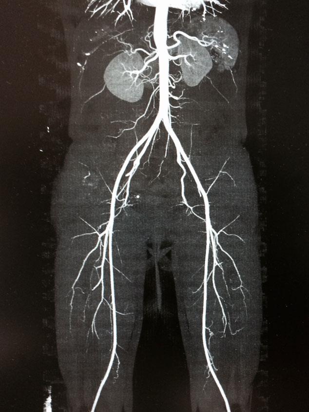 DR. JORGE HALLEY MAURICIO HERNÁNDEZ