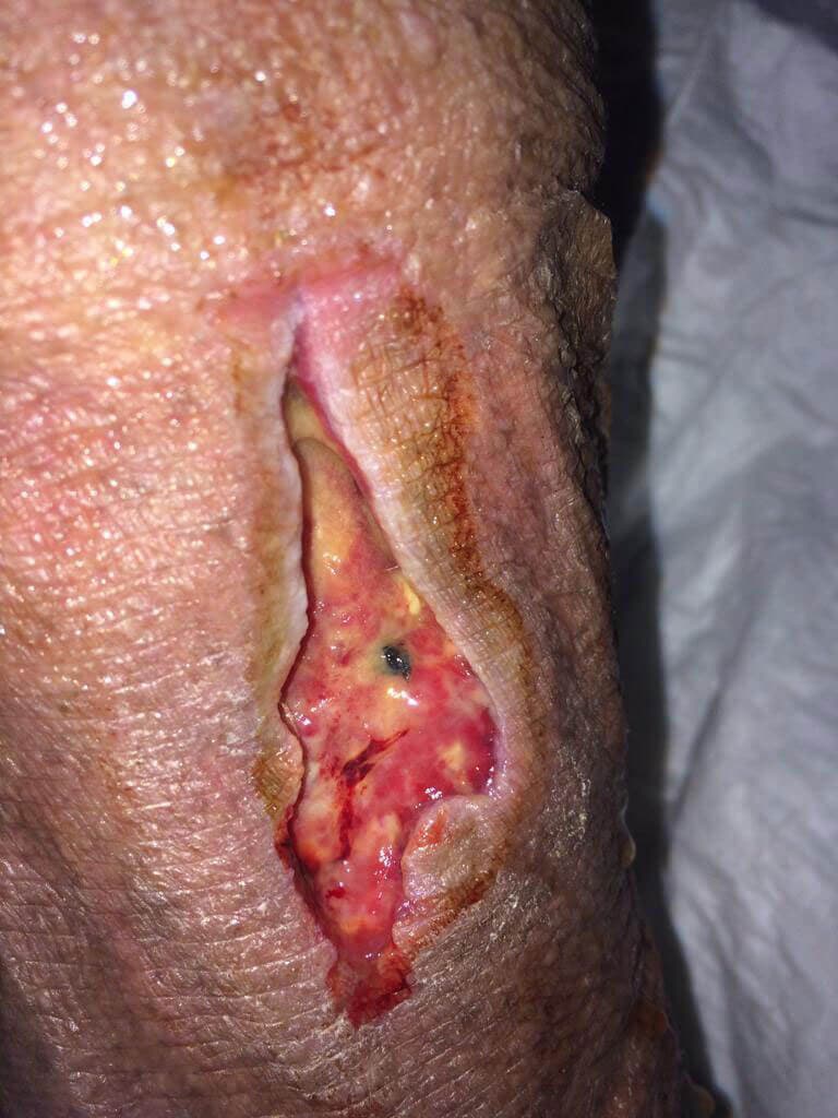 DR. JORGE HALLEY MAURICIO HERNÁNDEZ