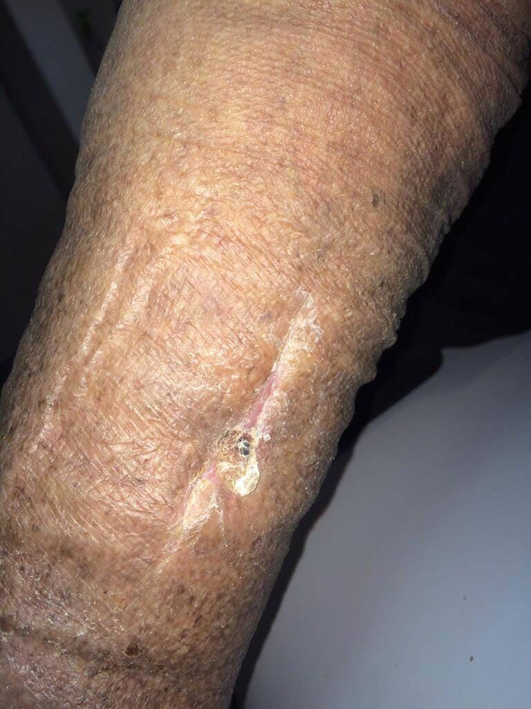 DR. JORGE HALLEY MAURICIO HERNÁNDEZ