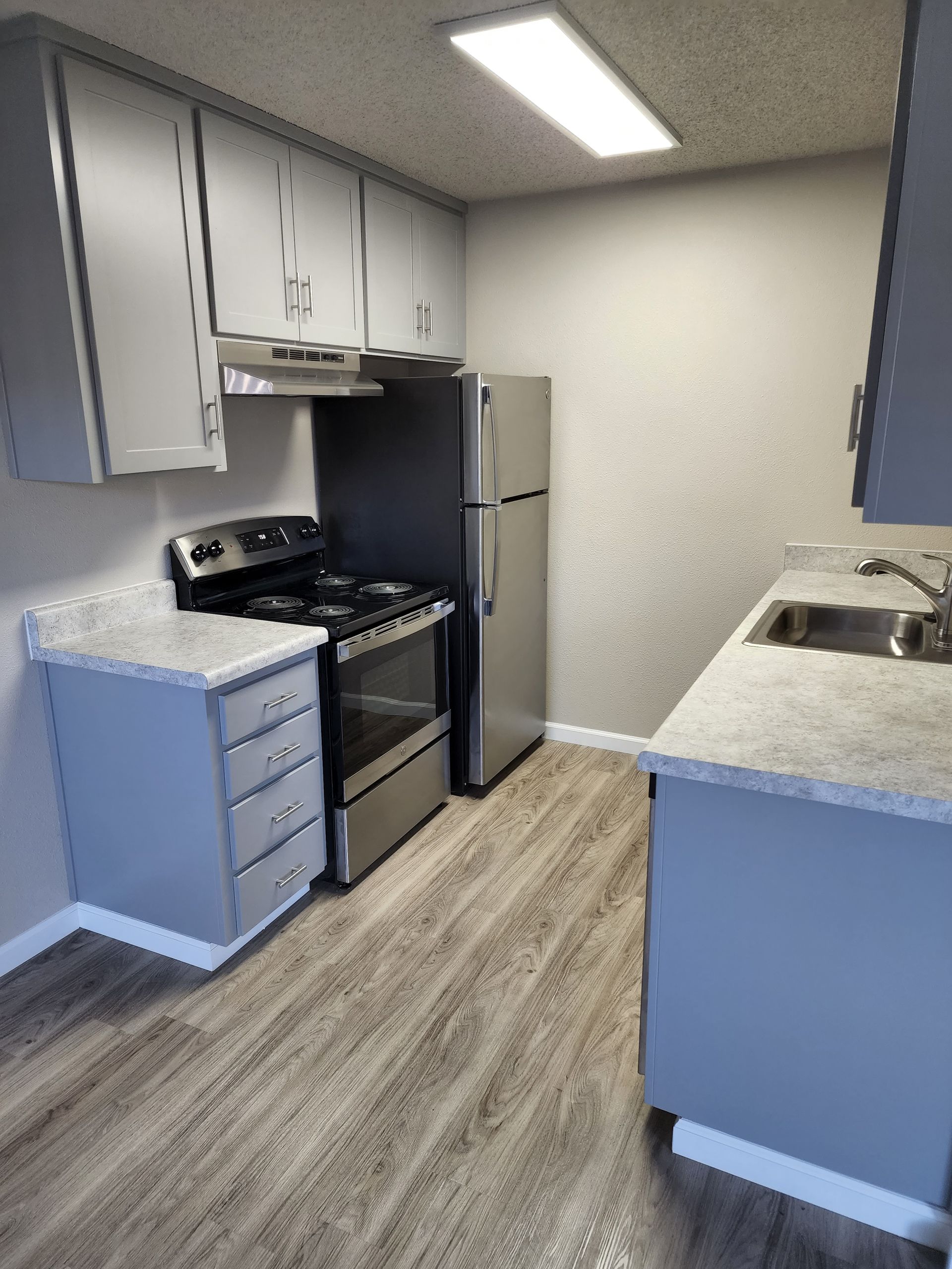 Kitchen with gray cabinets, stainless steel appliances, and wood-look flooring.
