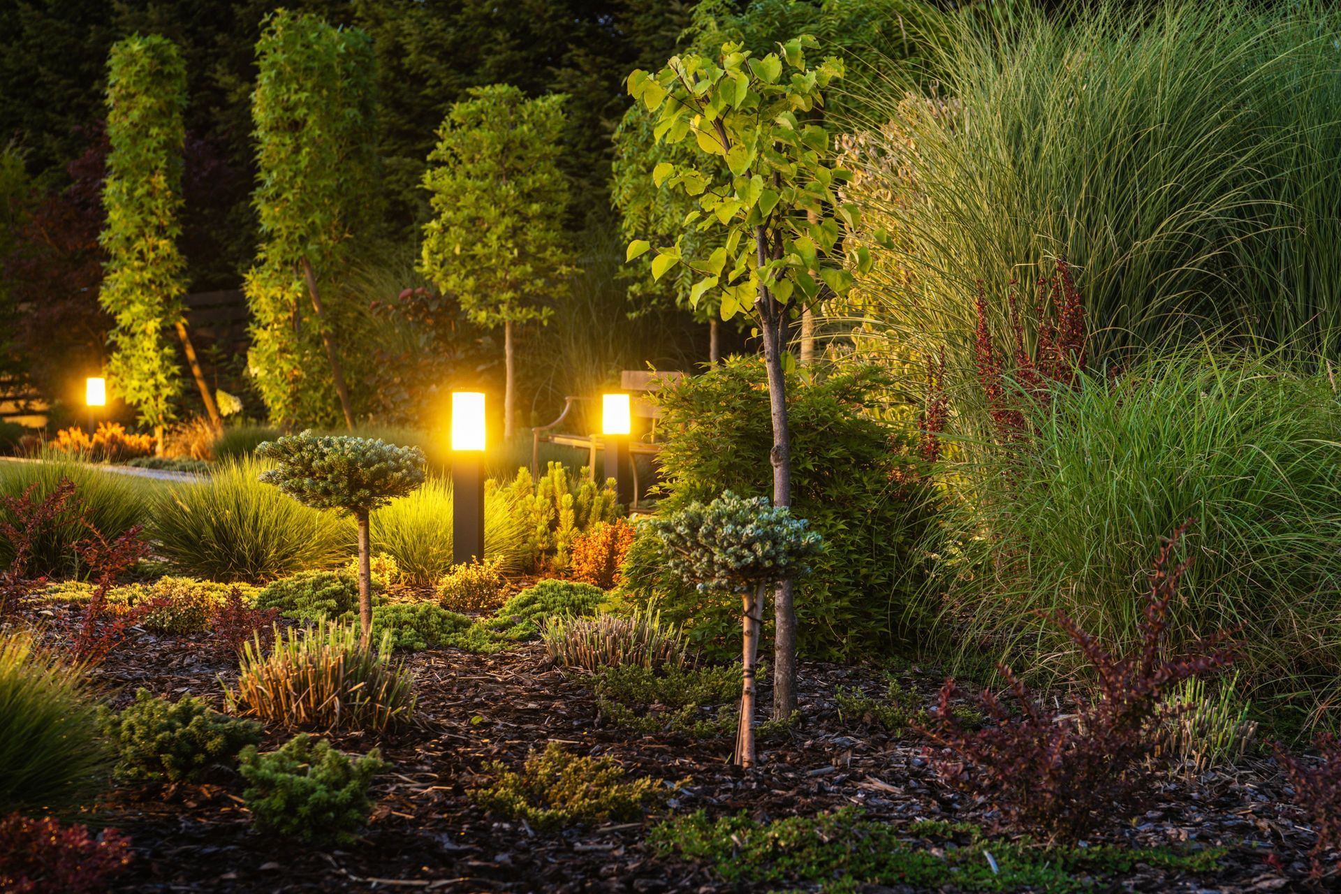 Illuminated landscaped garden at night with glowing path lights, shrubs, and tall trees
