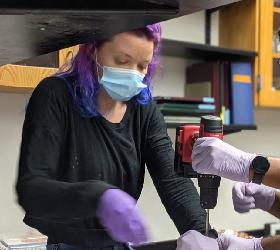 optimization regulation project management