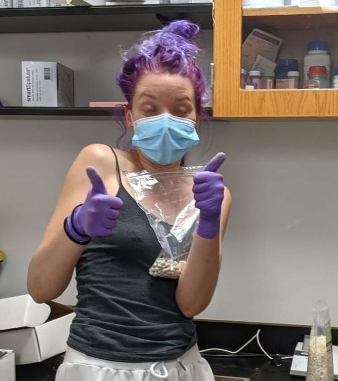 product development formulation