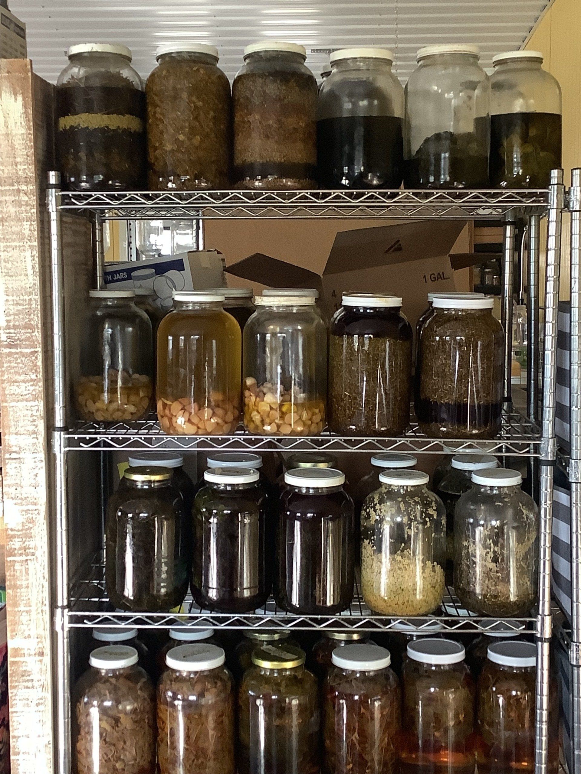 Natural bath and body ingredients in jars – Green Forest Soaps workspace