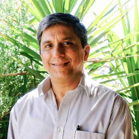a man in a striped shirt is smiling in front of a palm tree .