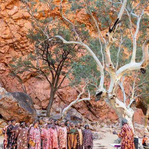 a group of people are standing under a tree in front of a rock wall .