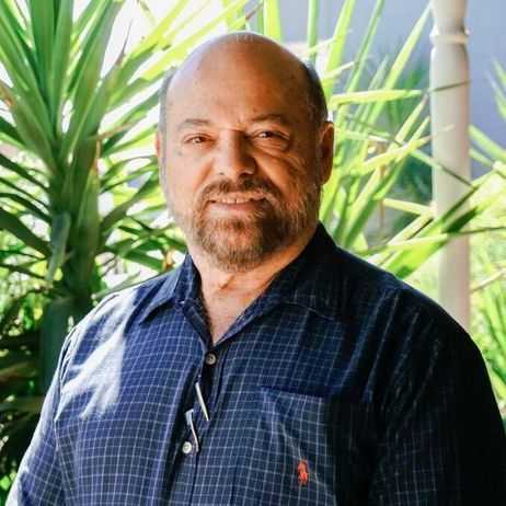 a bald man with a beard is standing in front of a palm tree .