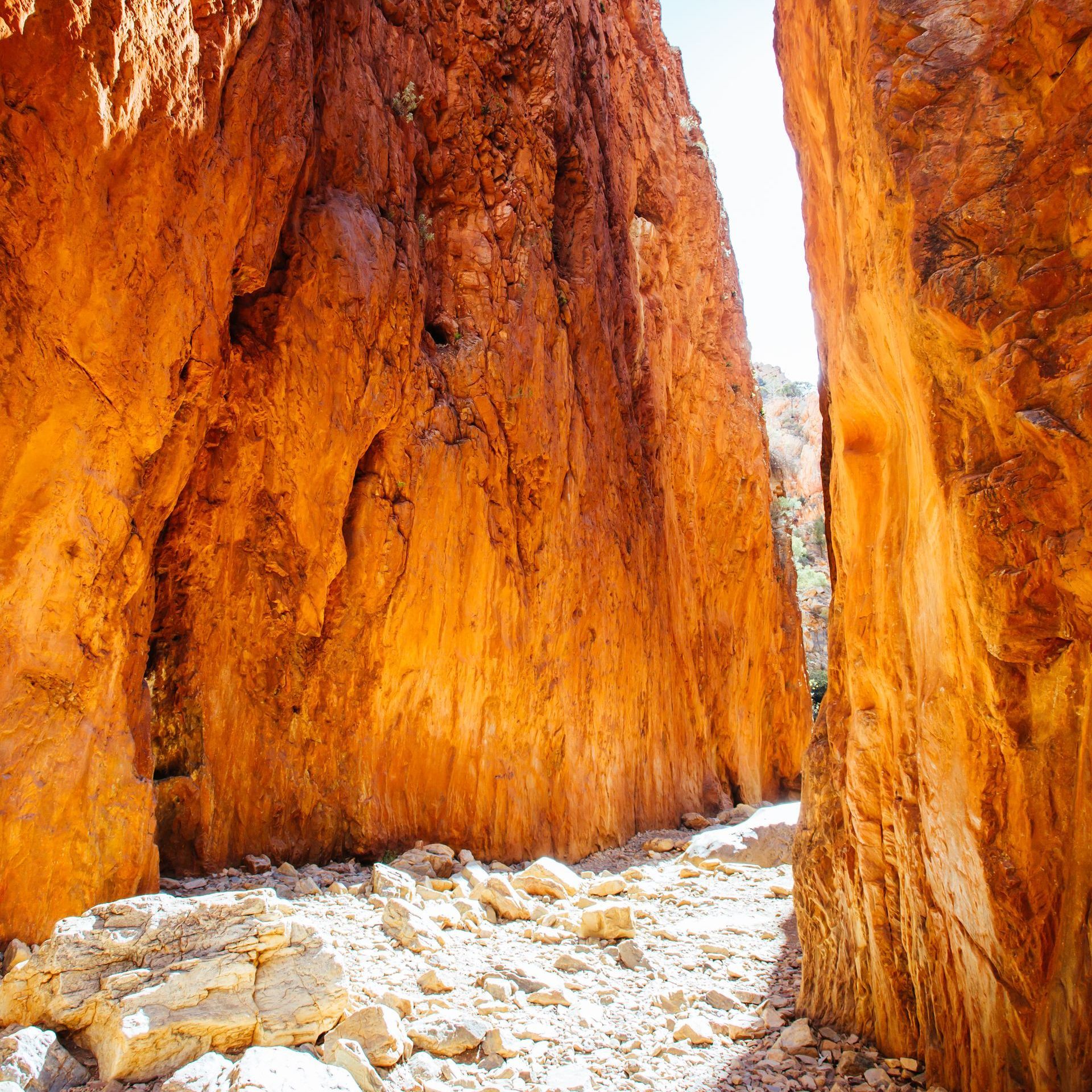 a narrow canyon with a lot of rocks in it