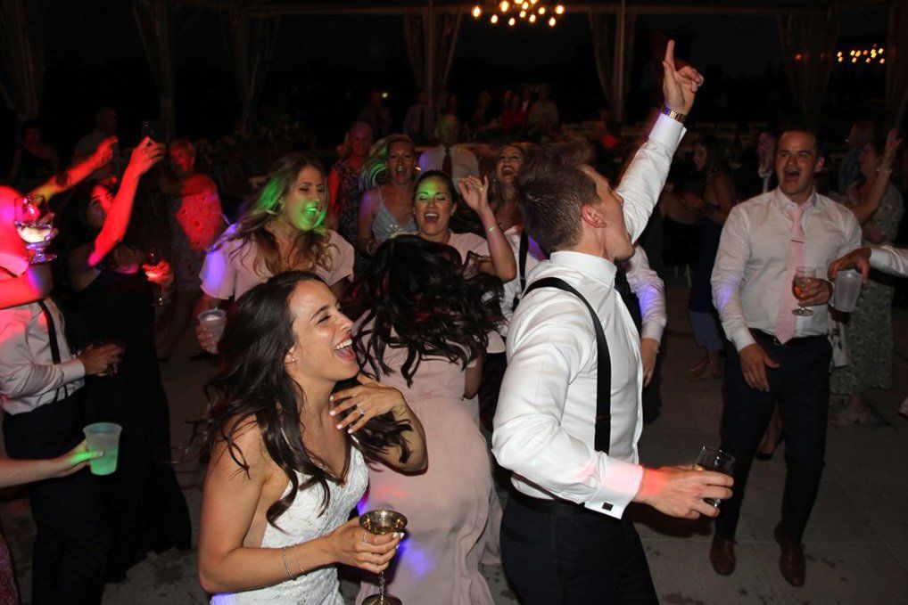 Wedding Party, DJ, Rivine Winery Weddings