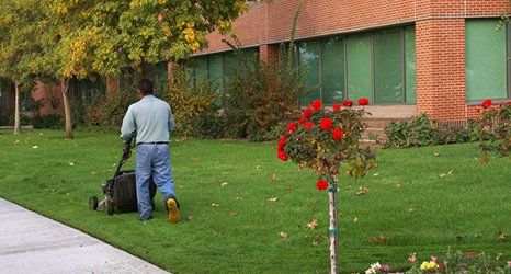 Commercial grounds maintenance