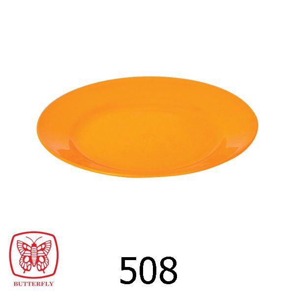 plastic plate