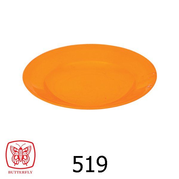 plastic plate