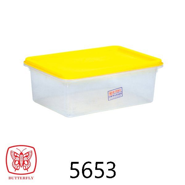 plastic container with lid